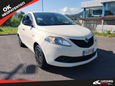 Lancia Ypsilon 1.2 69 CV 5 porte Gold usata