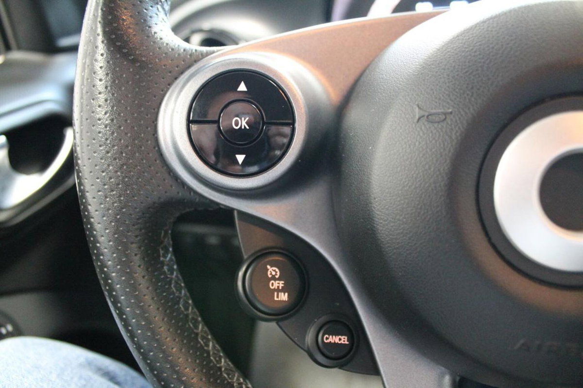 smart forfour forfour 70 1.0 Sport edition 1 (13)