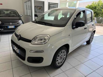 Fiat Panda 1.2 Easy usata