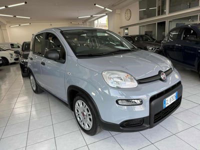 Fiat Panda 1.0 firefly hybrid s&s 70cv 5p.ti usata