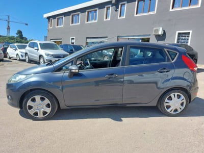 Ford Fiesta 1.4 TDCi 70CV 5 porte Titanium usata