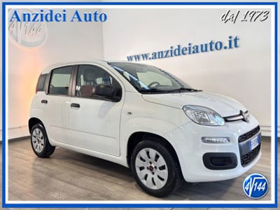 Fiat Panda 1.2 Pop usata