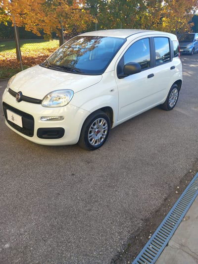 Fiat Panda 1.2 EasyPower Easy usata