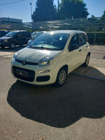 Fiat Panda 1.2 EasyPower Easy usata