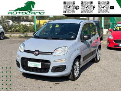 Fiat Panda 1.2 Easy usata