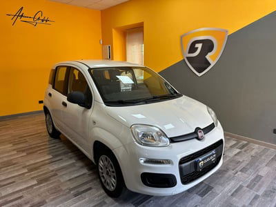 Fiat Panda 1.2 Lounge usata