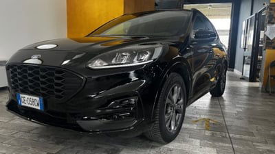 Ford Kuga 1.5 EcoBlue 120 CV 2WD ST-Line usata
