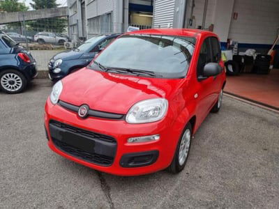 Fiat Panda 1.0 firefly hybrid s&s 70cv usata
