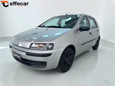 Fiat Punto 1.2i cat 5 porte Verve usata