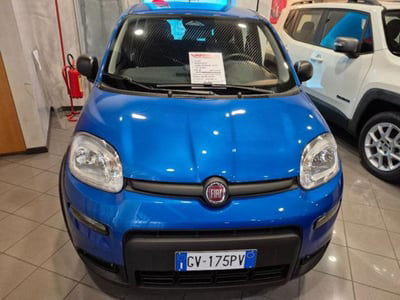Fiat Panda 1.0 firefly hybrid s&s 70cv 5p.ti nuova