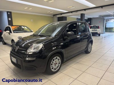 Fiat Panda 1.0 firefly hybrid s&s 70cv 5p.ti usata