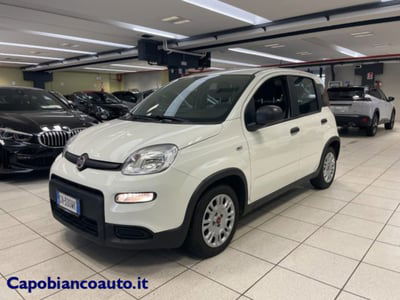 Fiat Panda 1.0 firefly hybrid s&s 70cv 5p.ti usata