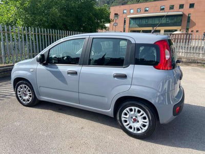 Fiat Panda 1.2 EasyPower Easy usata