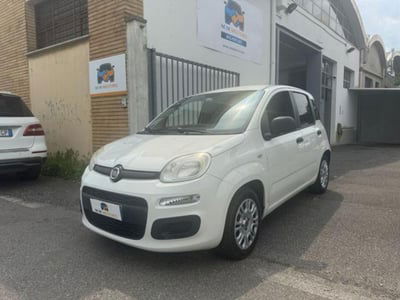 Fiat Panda 1.2 Easy usata