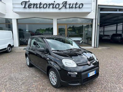 Fiat Panda 1.0 firefly hybrid s&s 70cv 5p.ti usata