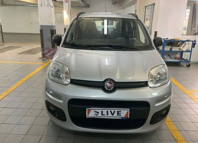 Fiat Panda 1.2 Pop usata