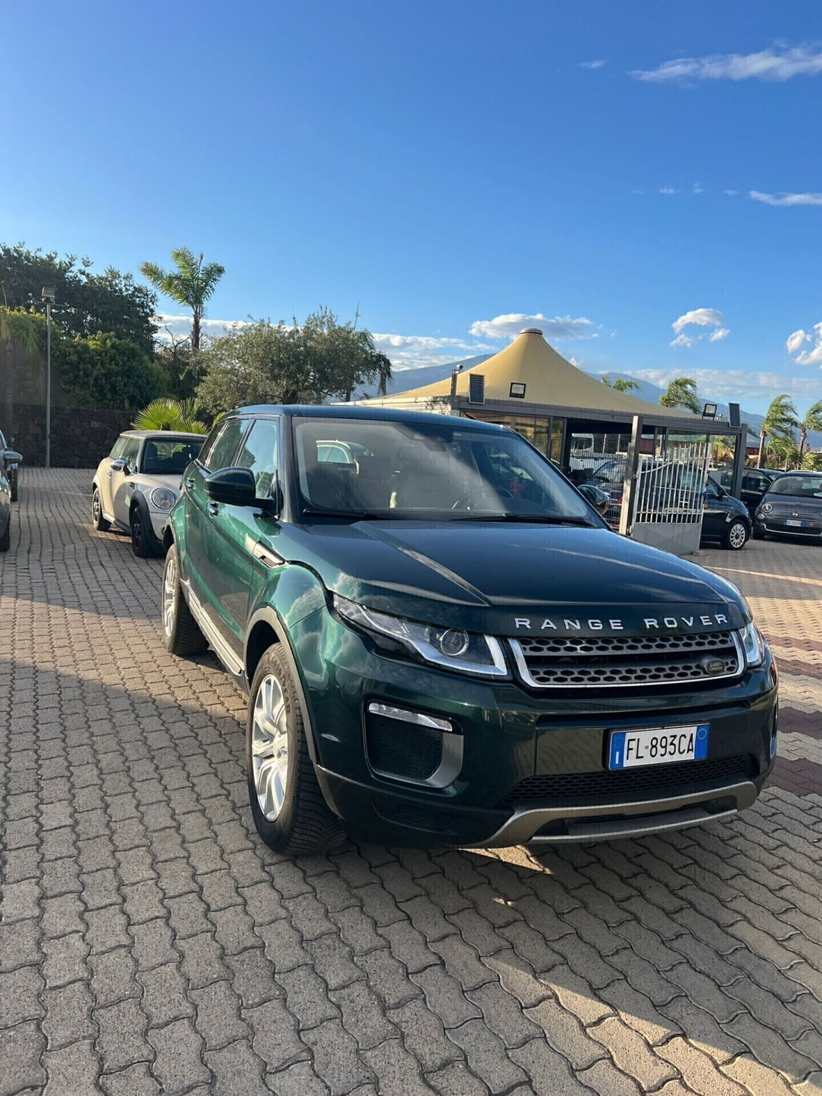 Land Rover Range Rover Evoque 2.0 TD4 150 CV 5p. SE Dynamic (10)