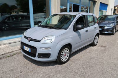 Fiat Panda 1.0 FireFly S&S Hybrid usata