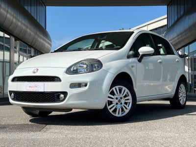 Fiat Punto 1.4 S&S 8V 5 porte Easy usata