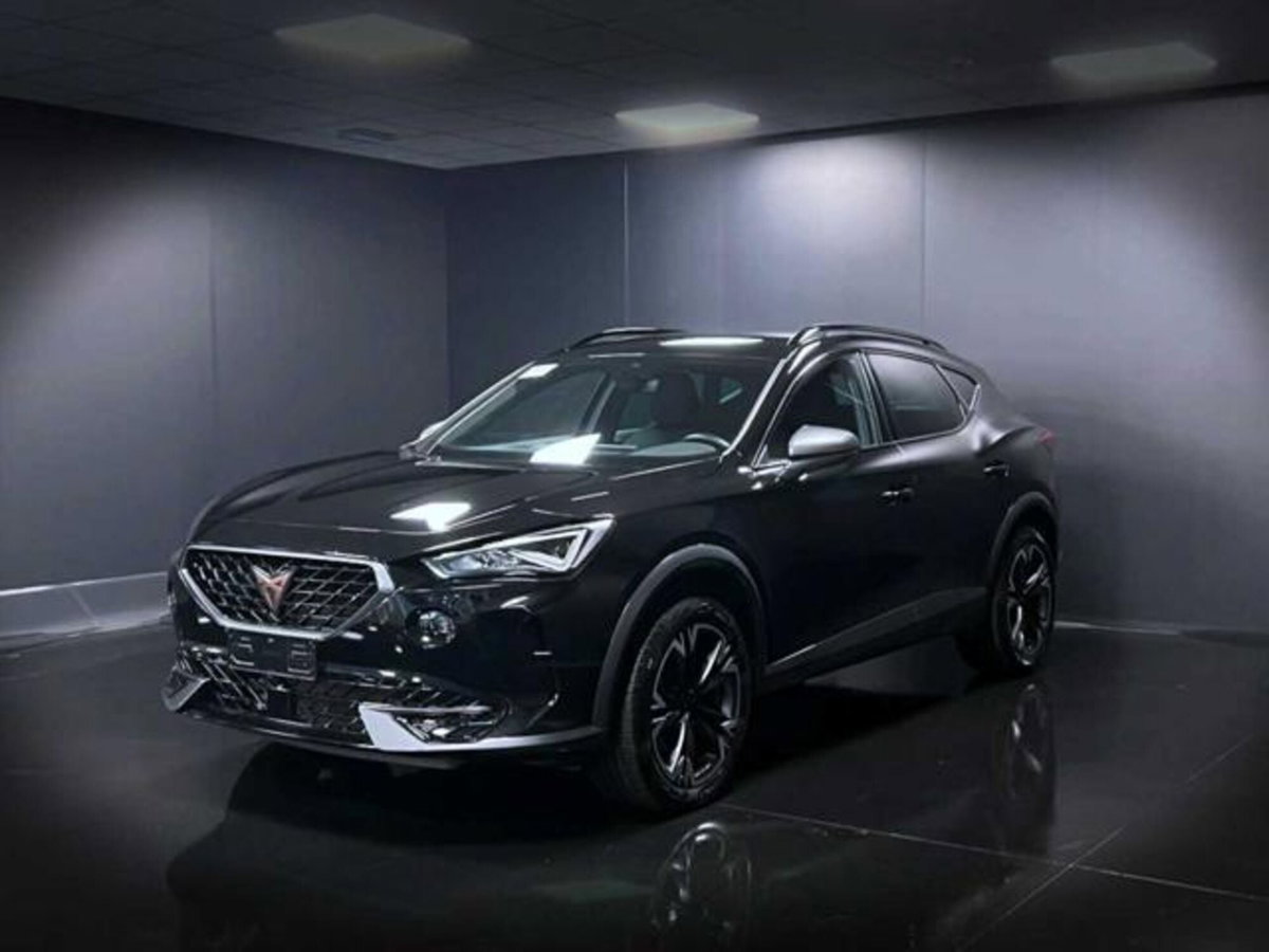 Cupra Formentor Formentor 1.5 TSI (2)