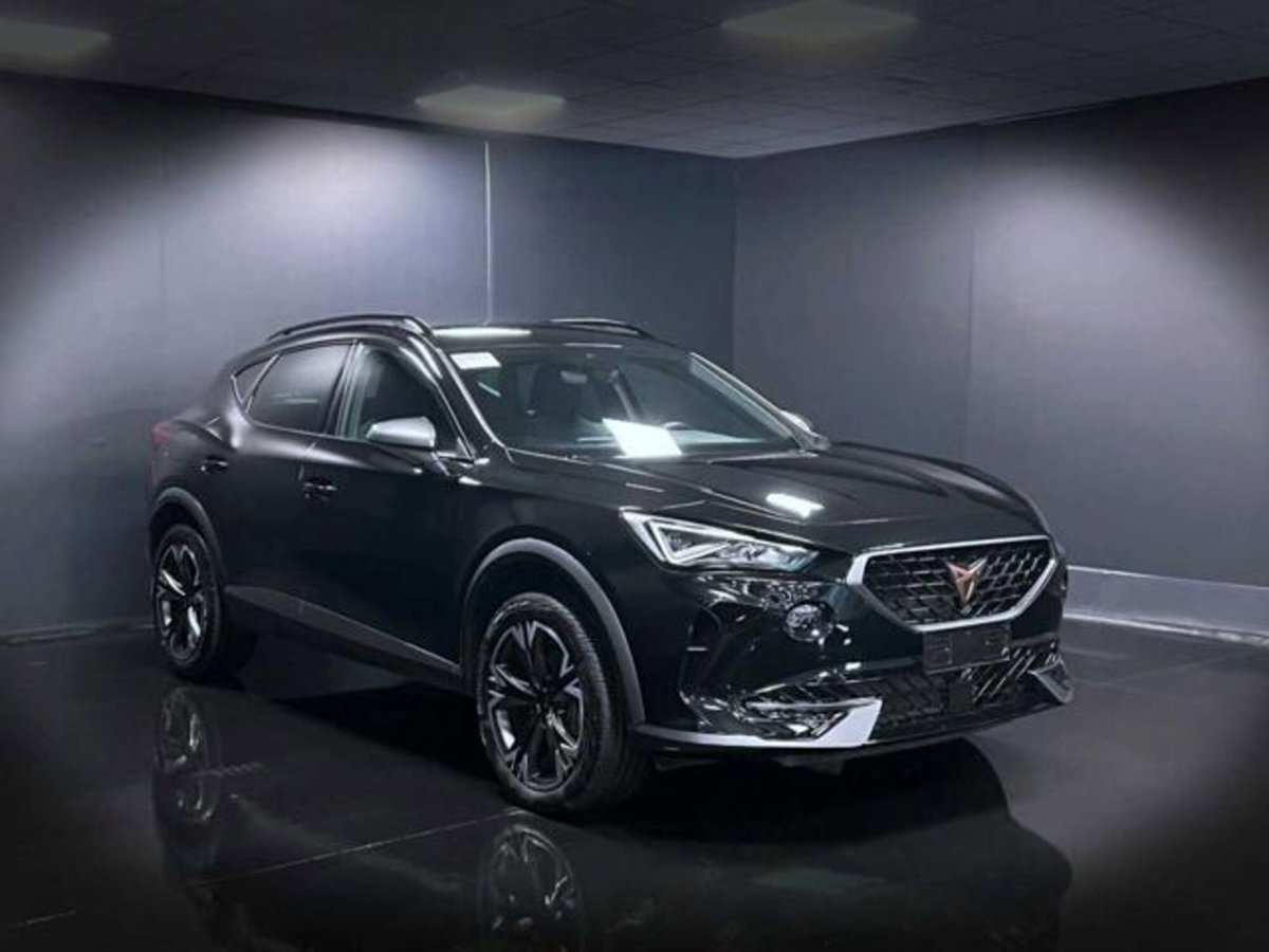 Cupra Formentor Formentor 1.5 TSI (3)