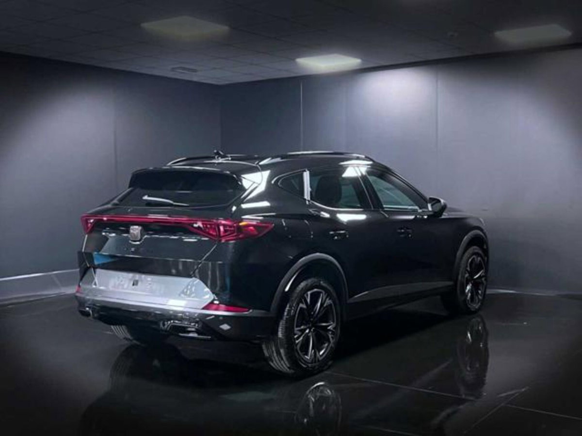 Cupra Formentor Formentor 1.5 TSI (6)