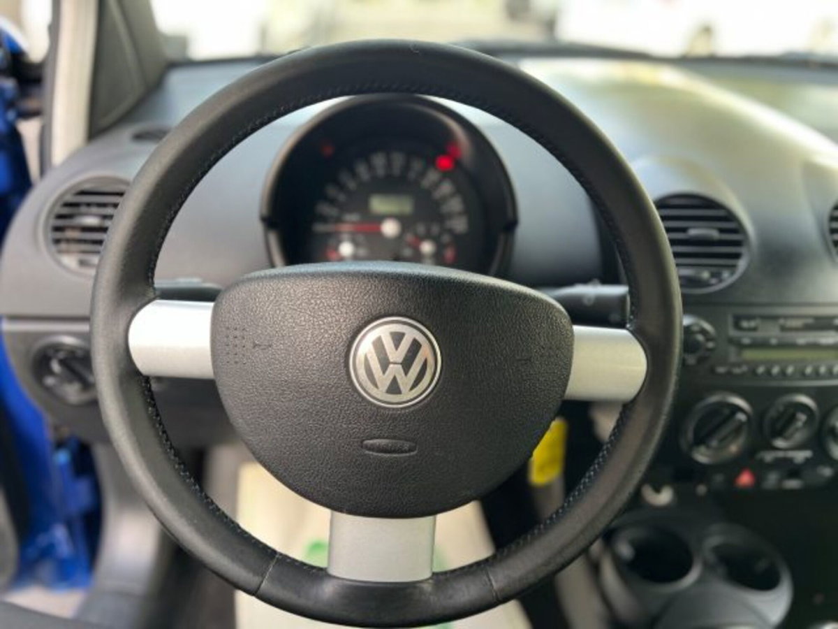 Volkswagen New Beetle TDI 101CV (15)