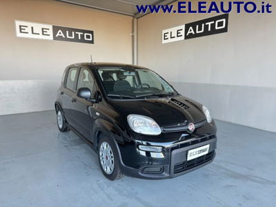 Fiat Panda 1.0 firefly hybrid s&s 70cv 5p.ti usata