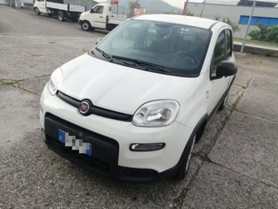 Fiat Panda van 1.0 hybrid Street 70cv 4p.ti serie 4 E6d