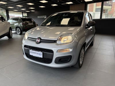 Fiat Panda 1.2 EasyPower Easy usata