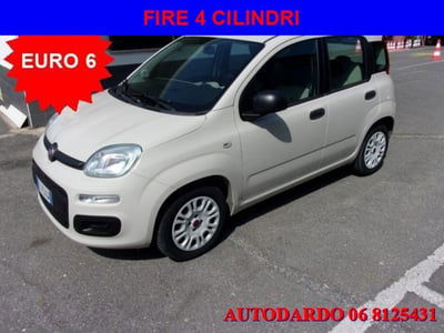 Fiat Panda 1.2 Easy usata