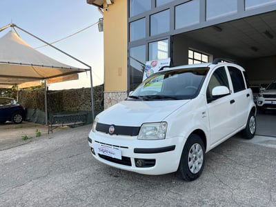 Fiat Panda 1.3 MJT 16V DPF Dynamic usata