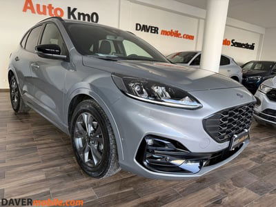 Ford Kuga 2.0 EcoBlue Hybrid 150 CV 2WD ST-Line X usata