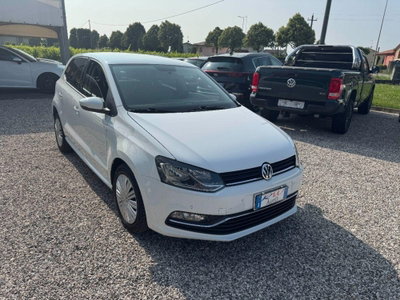 Volkswagen Polo 1.4 TDI 5p. Comfortline BlueMotion Technology (2)