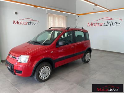 Fiat Panda 1.2 4x4 Climbing usata