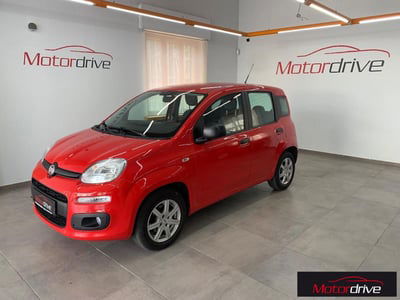 Fiat Panda 1.2 Easy usata