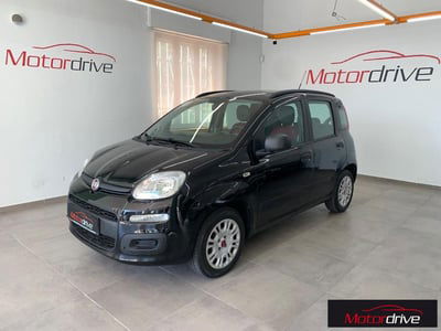 Fiat Panda 1.2 Easy usata