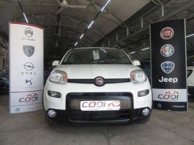 Fiat Panda 1.0 FireFly S&S Hybrid City Cross usata