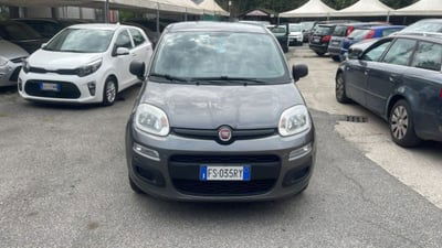 Fiat Panda 1.2 Lounge usata