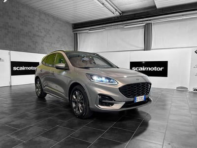 Ford Kuga 2.0 EcoBlue 190 CV aut. AWD ST-Line X usata