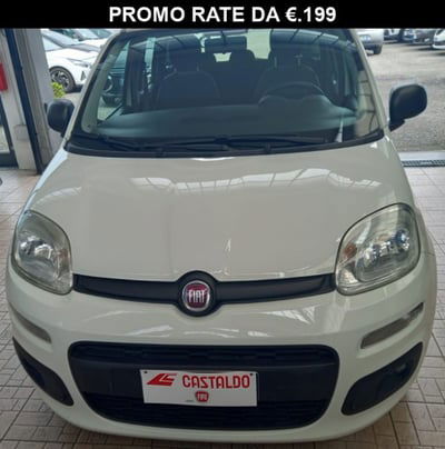 Fiat Panda 1.2 Easy usata