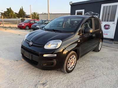 Fiat Panda 1.2 Easy usata