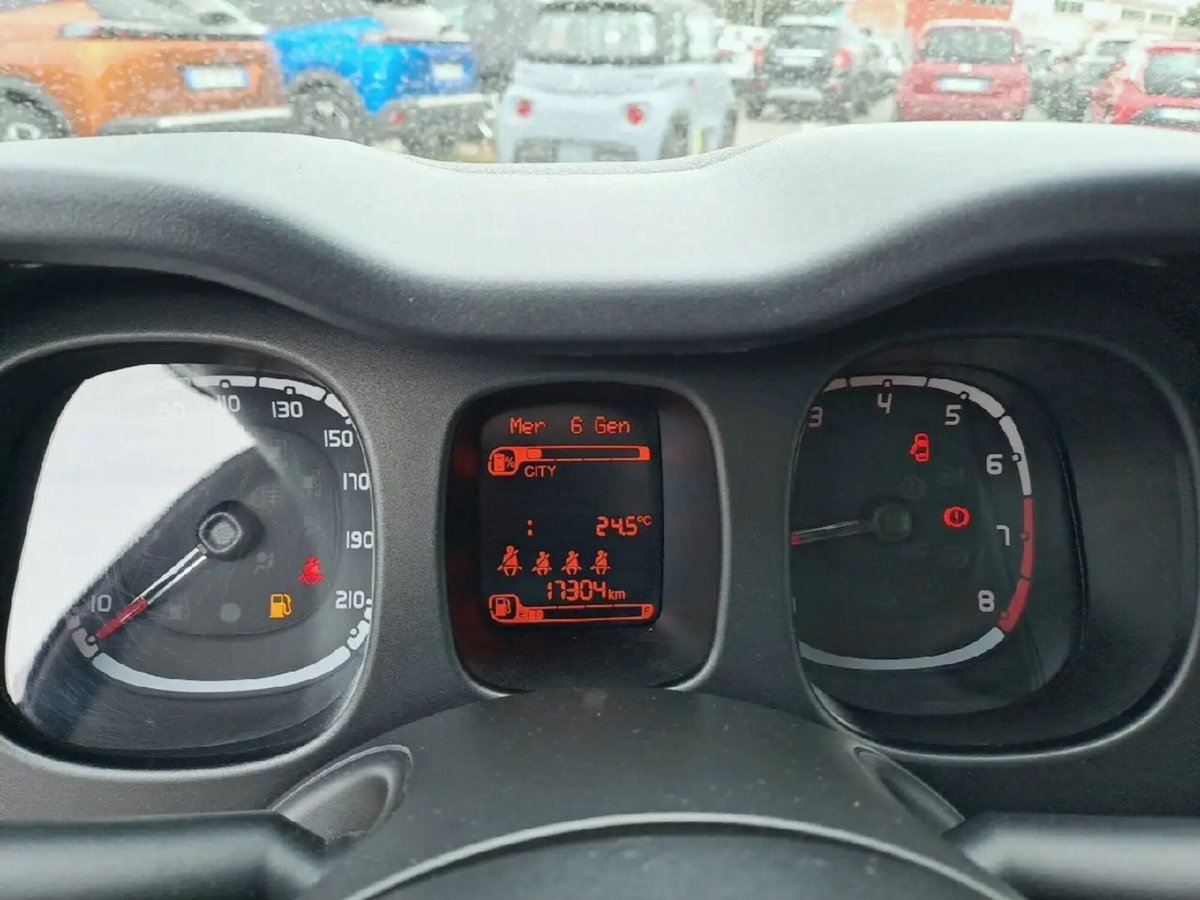 Fiat Panda Cross Cross 1.0 FireFly S&S Hybrid (9)