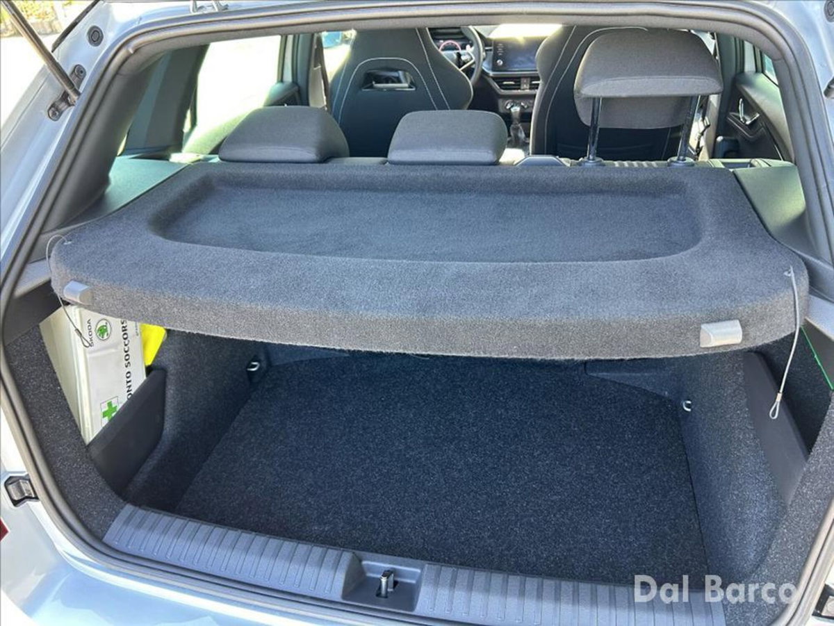 Skoda Kamiq 1.0 TSI 110 CV Monte Carlo (19)