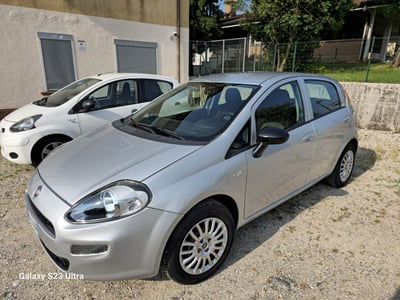 Fiat Punto 1.2 8V 5 porte Street usata