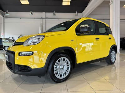 Fiat Panda 1.0 firefly hybrid s&s 70cv 5p.ti nuova