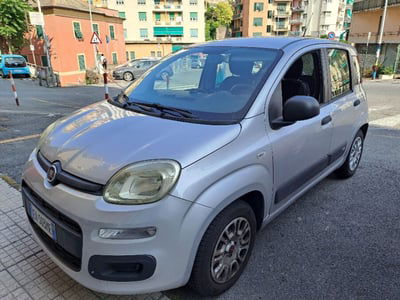 Fiat Panda 1.2 Easy usata