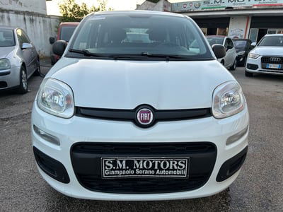 Fiat Panda 1.2 Easy usata