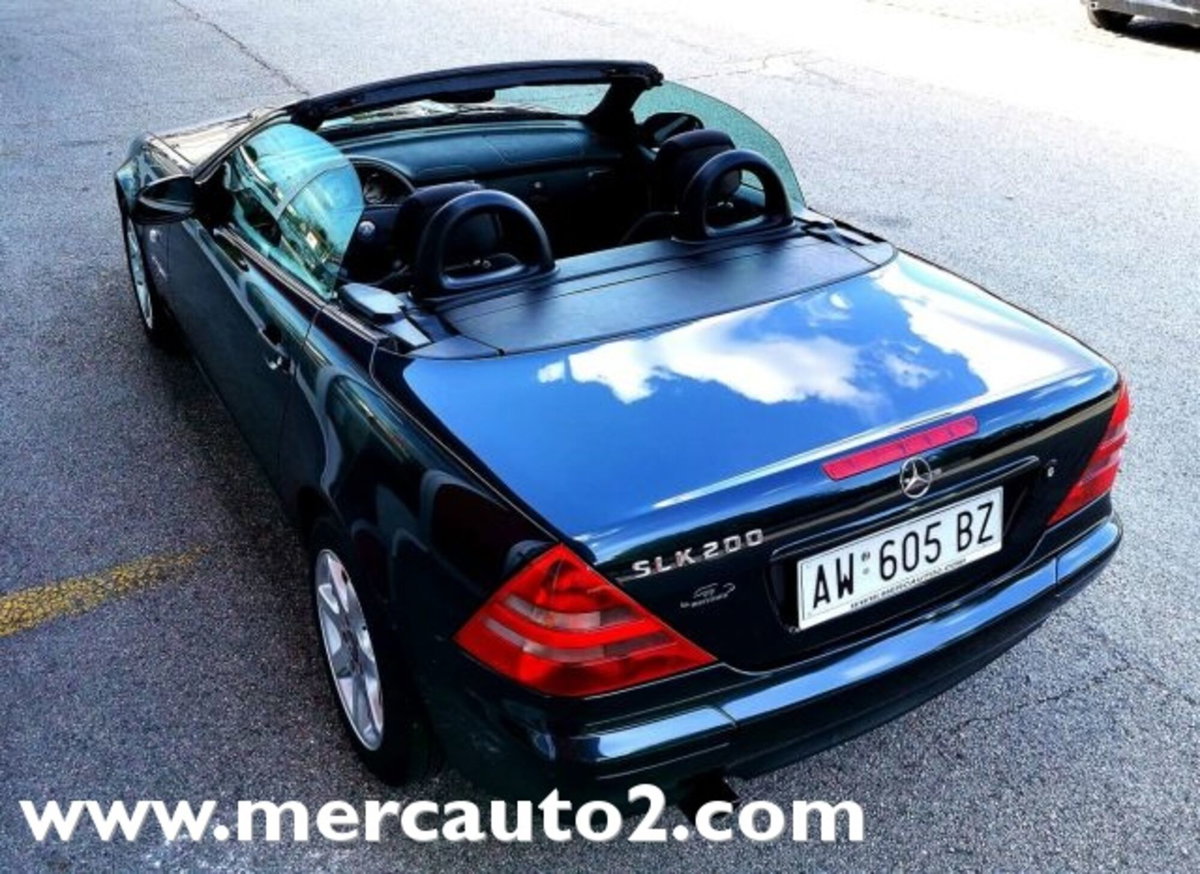 Mercedes-Benz SLK 200 cat (2)