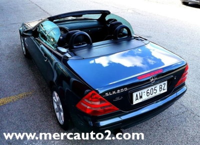Mercedes-Benz SLK 200 cat (2)